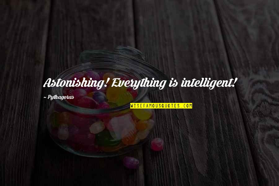Raylon Automotive Carpet Quotes By Pythagoras: Astonishing! Everything is intelligent! Raylon Automotive Carpet Quotes By Pythagoras: Astonishing! Everything is intelligent!