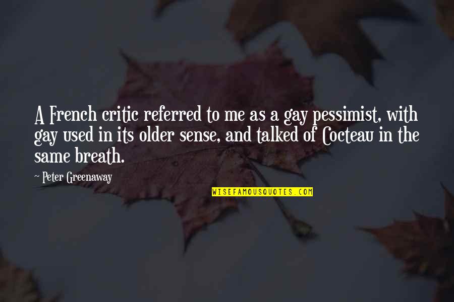 Raymann Quotes By Peter Greenaway: A French critic referred to me as a Raymann Quotes By Peter Greenaway: A French critic referred to me as a