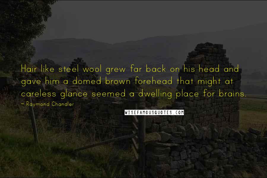 Raymond Chandler quotes: Hair like steel wool grew far back on his head and gave him a domed brown forehead that might at careless glance seemed a dwelling place for brains.