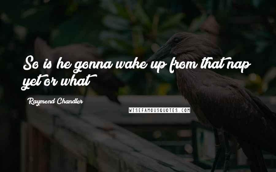 Raymond Chandler quotes: So is he gonna wake up from that nap yet or what?