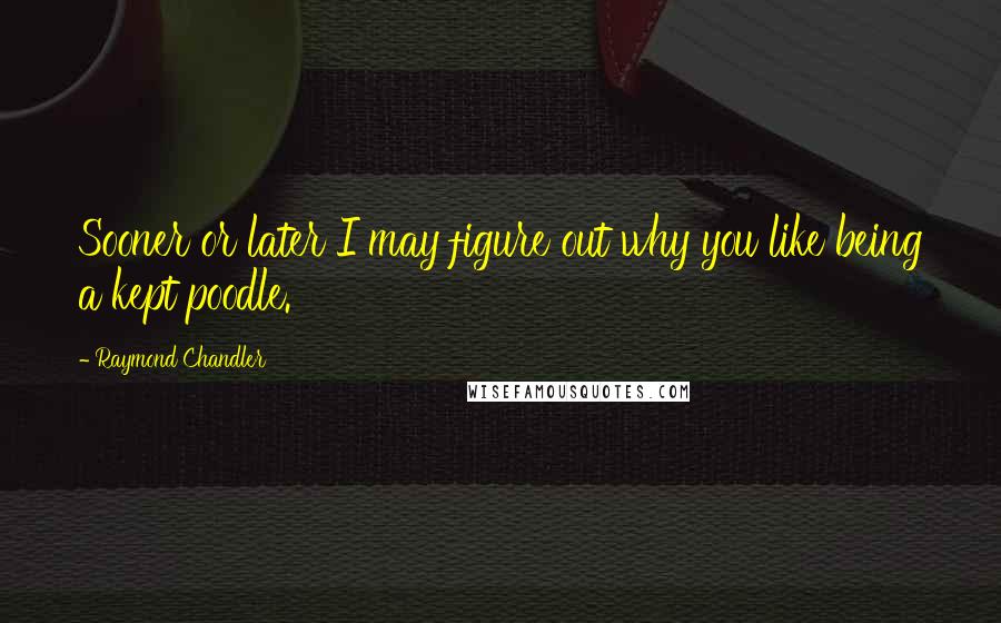 Raymond Chandler quotes: Sooner or later I may figure out why you like being a kept poodle.