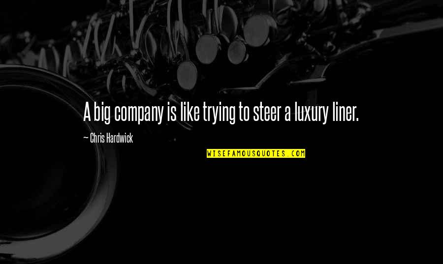 Raymond Damadian Quotes By Chris Hardwick: A big company is like trying to steer Raymond Damadian Quotes By Chris Hardwick: A big company is like trying to steer