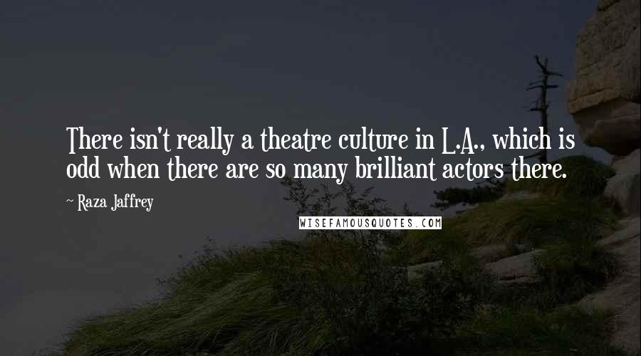Raza Jaffrey quotes: There isn't really a theatre culture in L.A., which is odd when there are so many brilliant actors there.
