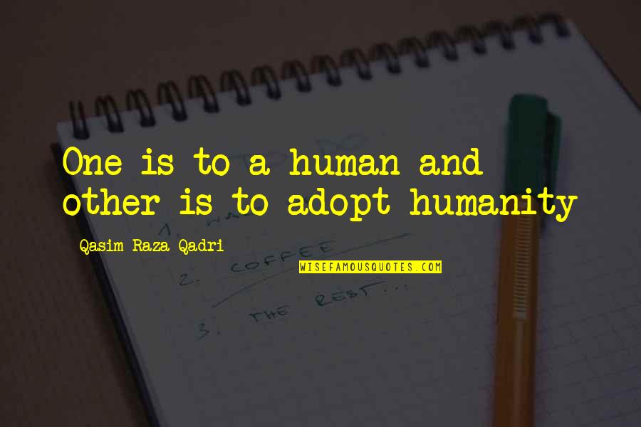Raza Quotes By Qasim Raza Qadri: One is to a human and other is