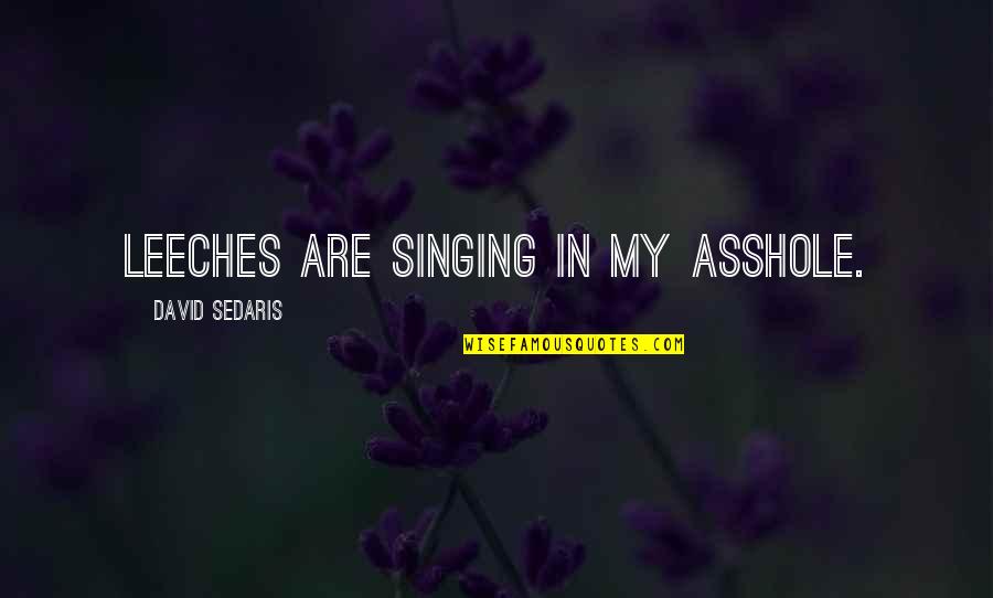 Razgovori Quotes By David Sedaris: Leeches are singing in my asshole. Razgovori Quotes By David Sedaris: Leeches are singing in my asshole.