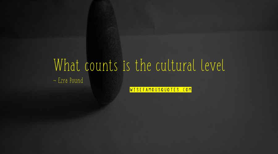 Razine Side Quotes By Ezra Pound: What counts is the cultural level