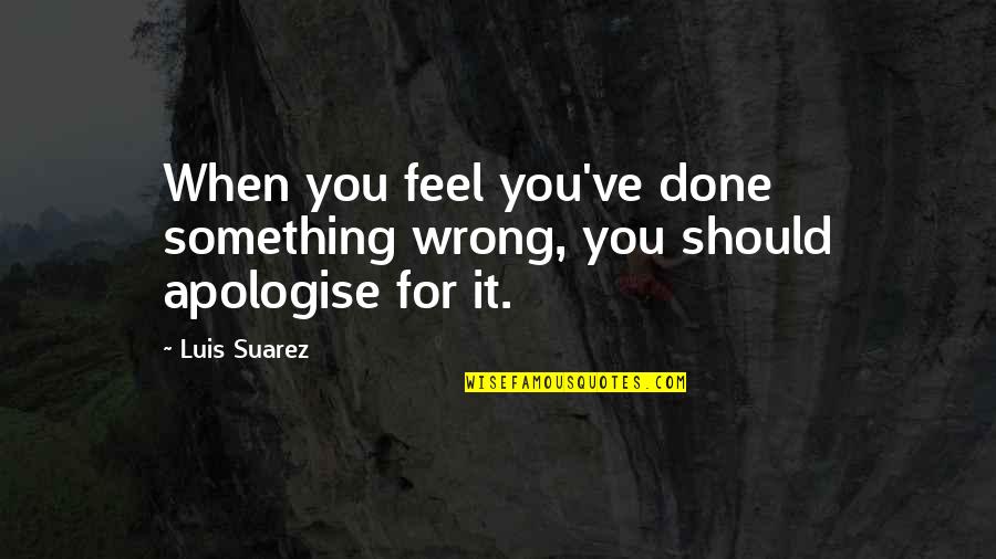 Razminfo Quotes By Luis Suarez: When you feel you've done something wrong, you