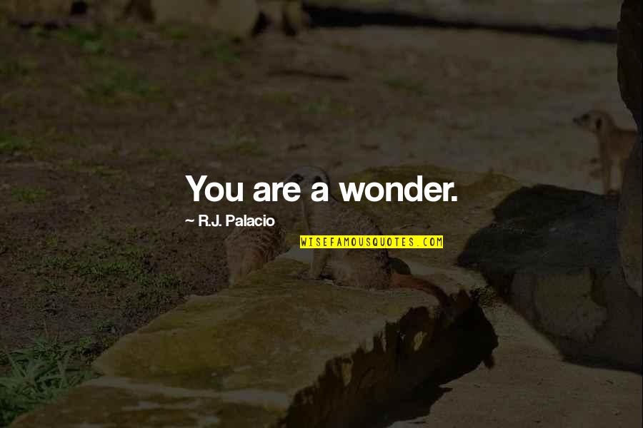 Razonamiento Verbal Quotes By R.J. Palacio: You are a wonder. Razonamiento Verbal Quotes By R.J. Palacio: You are a wonder.
