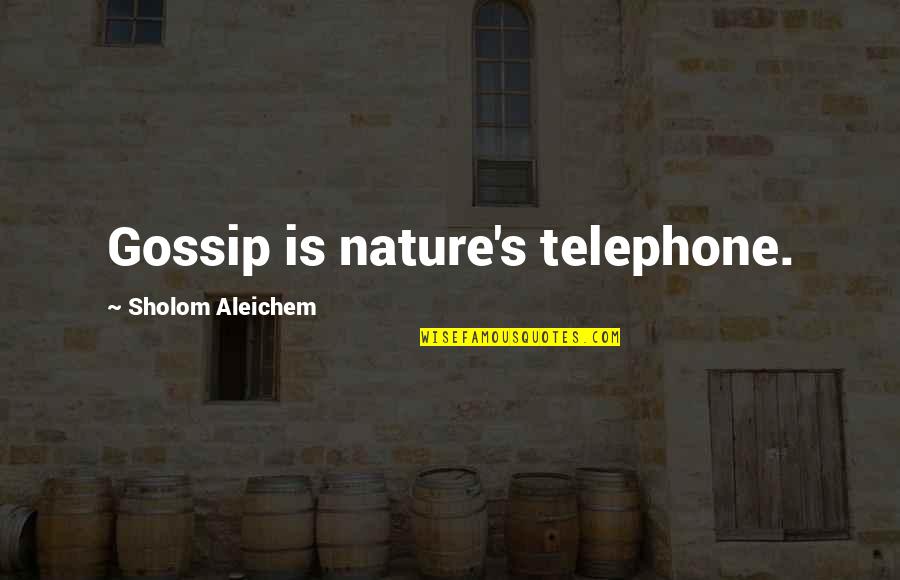 Razumikhin From Crime And Punishment Quotes By Sholom Aleichem: Gossip is nature's telephone.