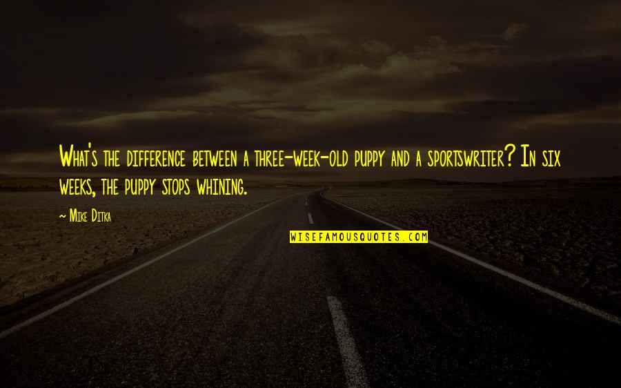 Razvan Si Quotes By Mike Ditka: What's the difference between a three-week-old puppy and