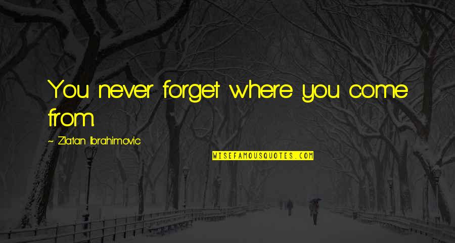 Rc505 Quotes By Zlatan Ibrahimovic: You never forget where you come from. Rc505 Quotes By Zlatan Ibrahimovic: You never forget where you come from.
