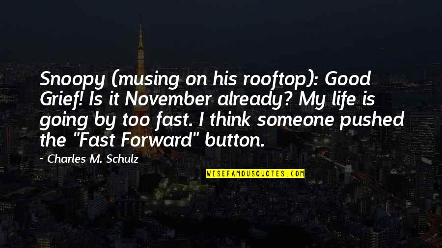 Rcii Quotes By Charles M. Schulz: Snoopy (musing on his rooftop): Good Grief! Is Rcii Quotes By Charles M. Schulz: Snoopy (musing on his rooftop): Good Grief! Is