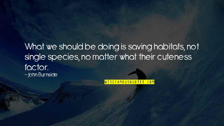 Rclnains Quotes By John Burnside: What we should be doing is saving habitats,
