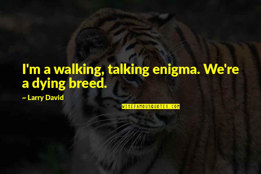 Rd-d2 Quotes By Larry David: I'm a walking, talking enigma. We're a dying