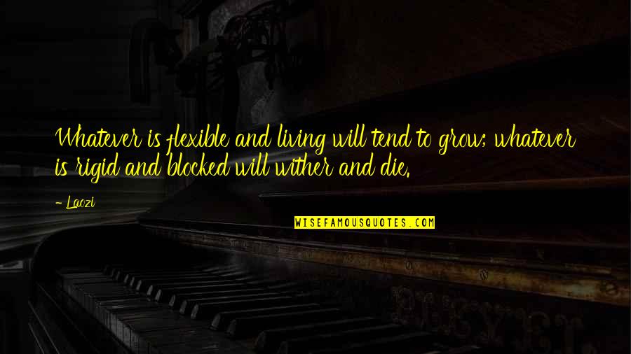 Re Blocked Quotes By Laozi: Whatever is flexible and living will tend to Re Blocked Quotes By Laozi: Whatever is flexible and living will tend to