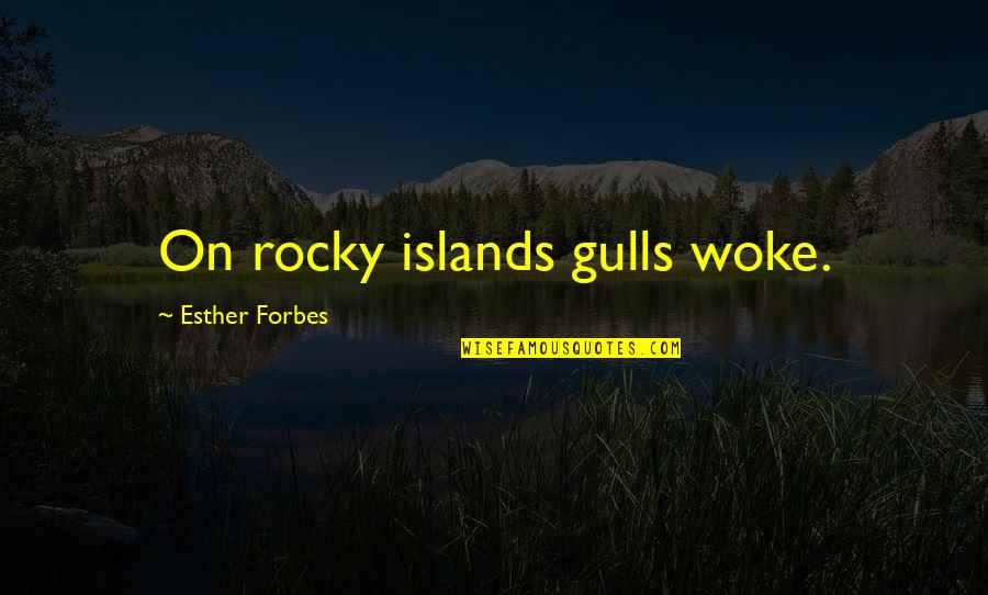Re5 Sheva Quotes By Esther Forbes: On rocky islands gulls woke. Re5 Sheva Quotes By Esther Forbes: On rocky islands gulls woke.