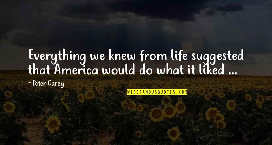 Reaccion Endotermica Quotes By Peter Carey: Everything we knew from life suggested that America