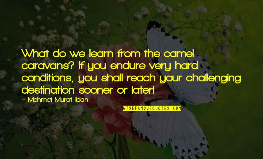 Reach Destination Quotes By Mehmet Murat Ildan: What do we learn from the camel caravans?