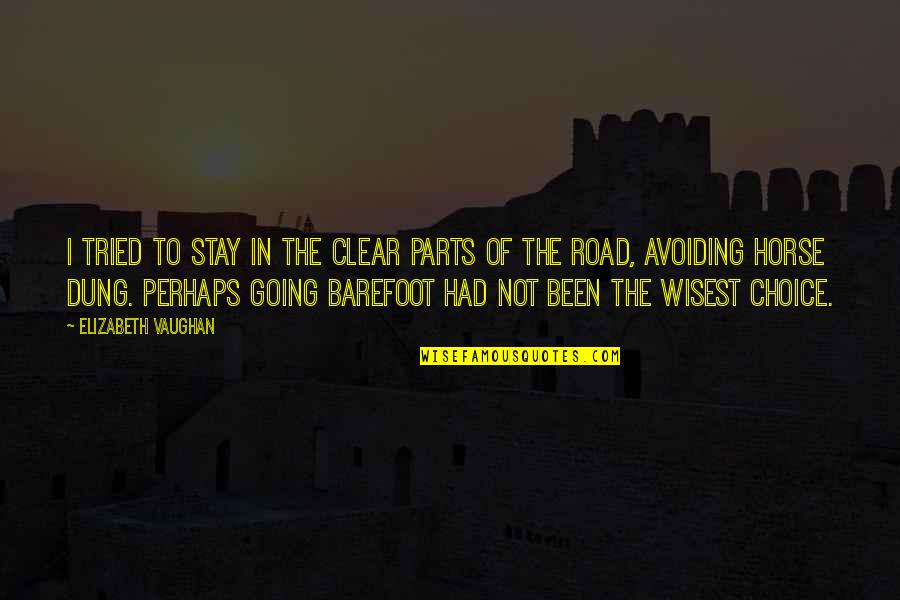 Reach For The Stars And Moon Quotes By Elizabeth Vaughan: I tried to stay in the clear parts