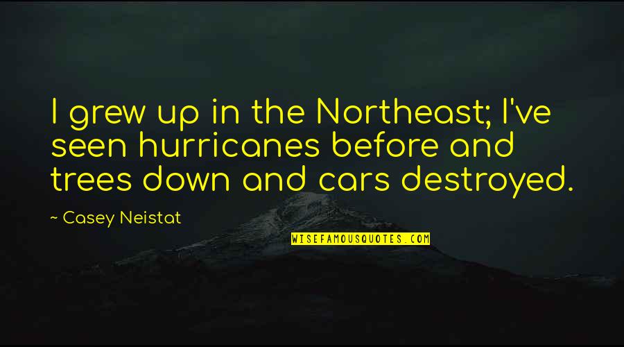 Reaching Fifty Quotes By Casey Neistat: I grew up in the Northeast; I've seen