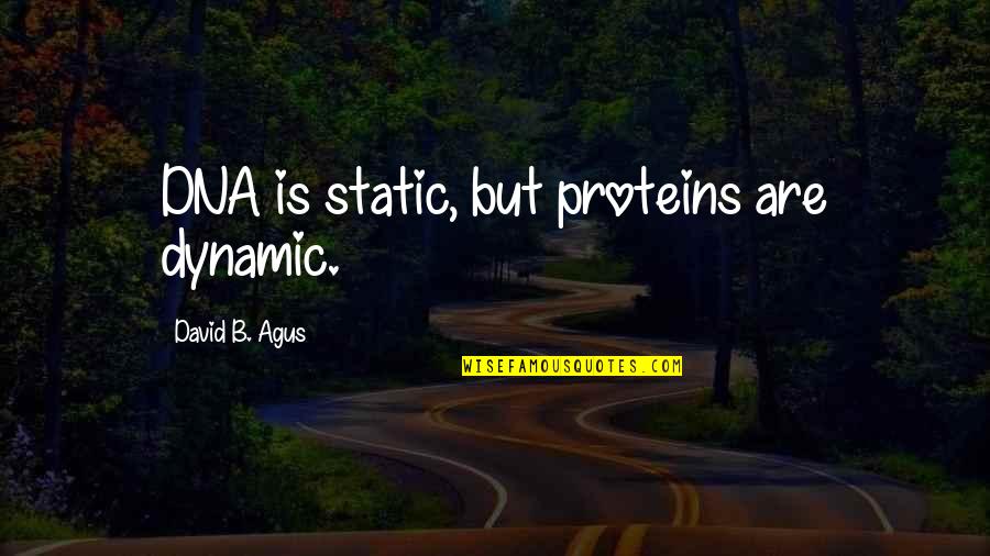 Reaching Out To Others Quotes By David B. Agus: DNA is static, but proteins are dynamic.