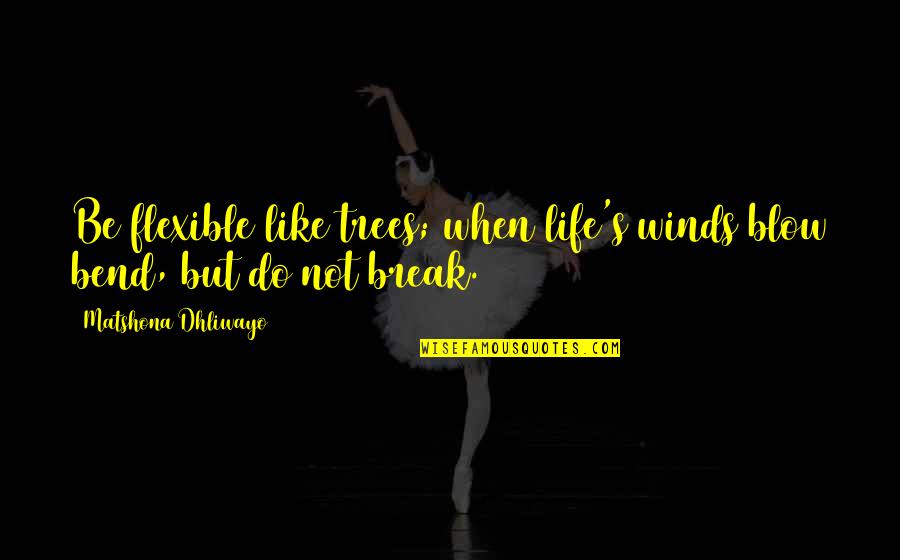 Reaching Potential Quotes By Matshona Dhliwayo: Be flexible like trees; when life's winds blow Reaching Potential Quotes By Matshona Dhliwayo: Be flexible like trees; when life's winds blow