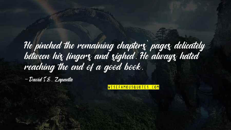 Reaching The End Quotes By David S.E. Zapanta: He pinched the remaining chapters' pages delicately between