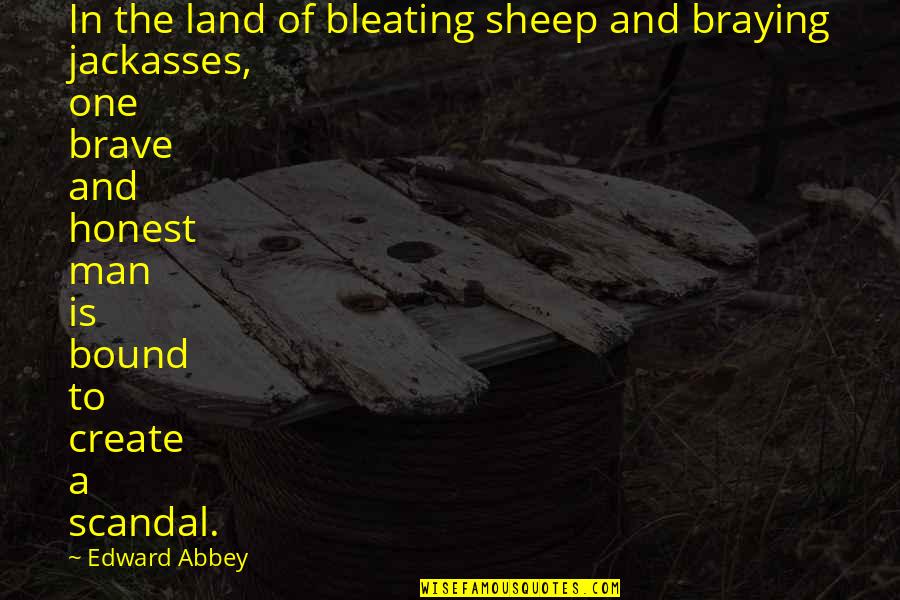 Reacting To Violence Quotes By Edward Abbey: In the land of bleating sheep and braying Reacting To Violence Quotes By Edward Abbey: In the land of bleating sheep and braying