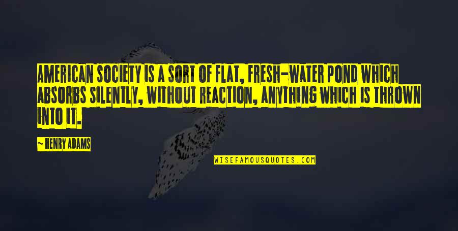 Reaction That Absorbs Quotes By Henry Adams: American society is a sort of flat, fresh-water