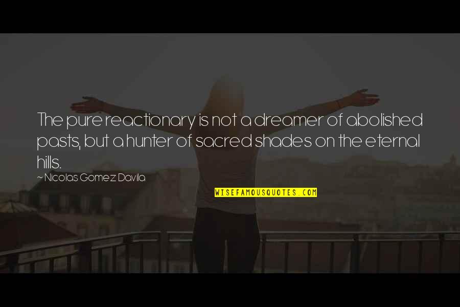 Reactionary Quotes By Nicolas Gomez Davila: The pure reactionary is not a dreamer of