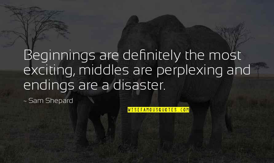 Reactor Design Quotes By Sam Shepard: Beginnings are definitely the most exciting, middles are Reactor Design Quotes By Sam Shepard: Beginnings are definitely the most exciting, middles are