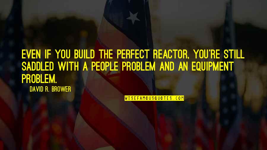 Reactor's Quotes By David R. Brower: Even if you build the perfect reactor, you're