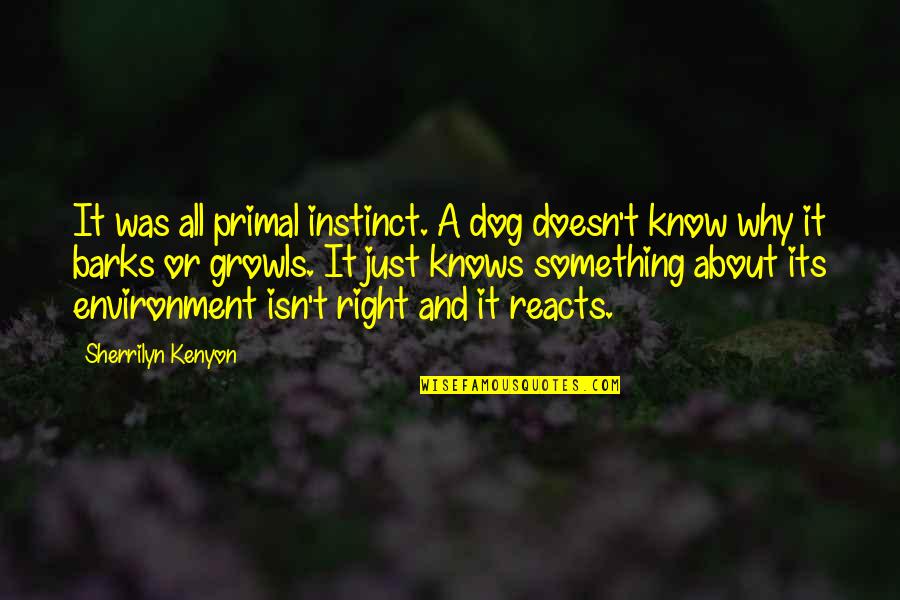 Reacts Quotes By Sherrilyn Kenyon: It was all primal instinct. A dog doesn't Reacts Quotes By Sherrilyn Kenyon: It was all primal instinct. A dog doesn't