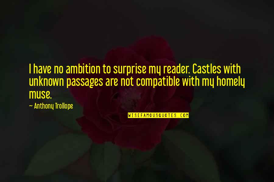 Reader No Quotes By Anthony Trollope: I have no ambition to surprise my reader.