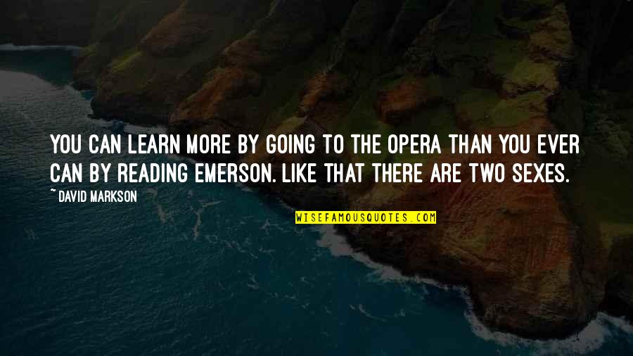 Reading Emerson Quotes By David Markson: You can learn more by going to the