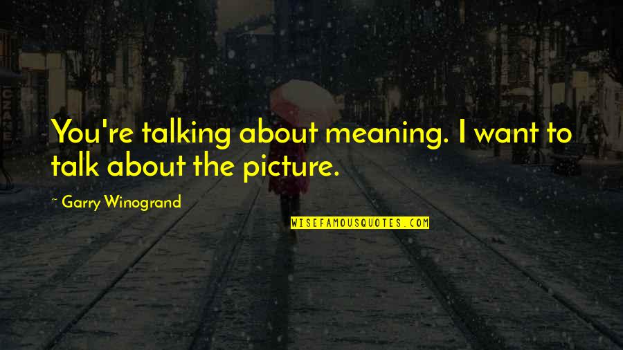 Reading Spiritual Books Quotes By Garry Winogrand: You're talking about meaning. I want to talk