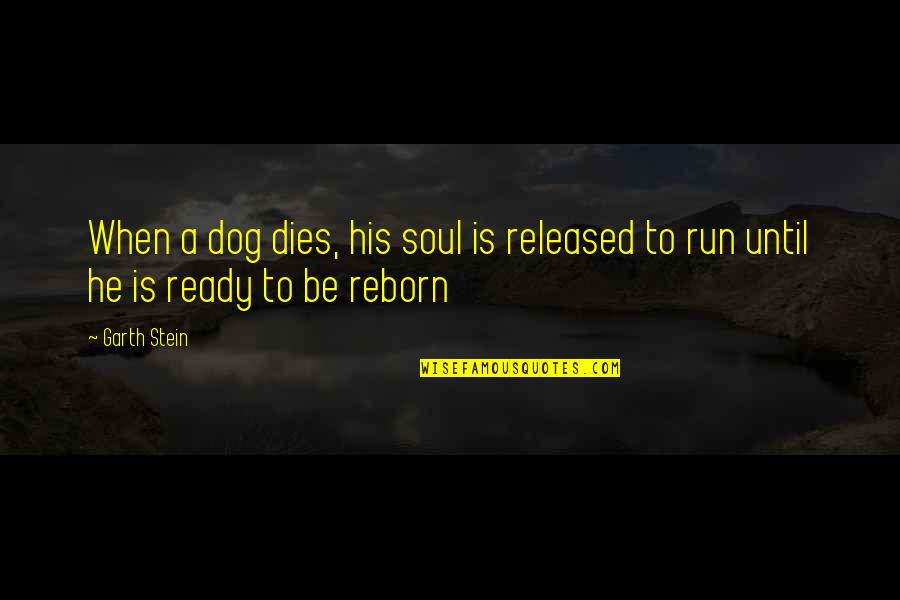 Ready To Run Quotes By Garth Stein: When a dog dies, his soul is released