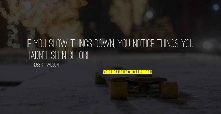 Reagain Quotes By Robert Wilson: If you slow things down, you notice things