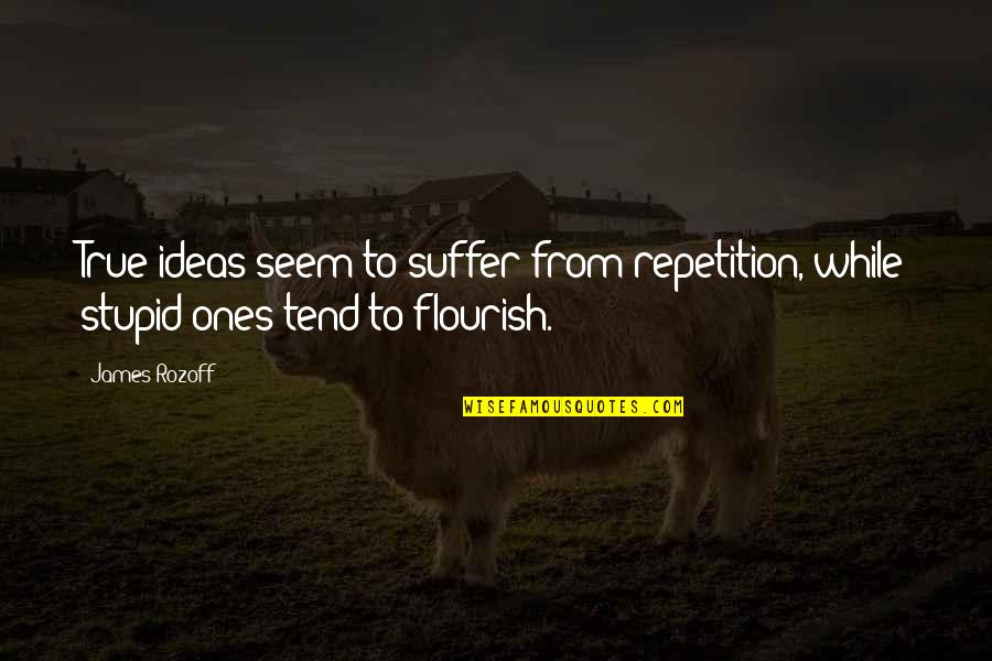 Reagens Quotes By James Rozoff: True ideas seem to suffer from repetition, while