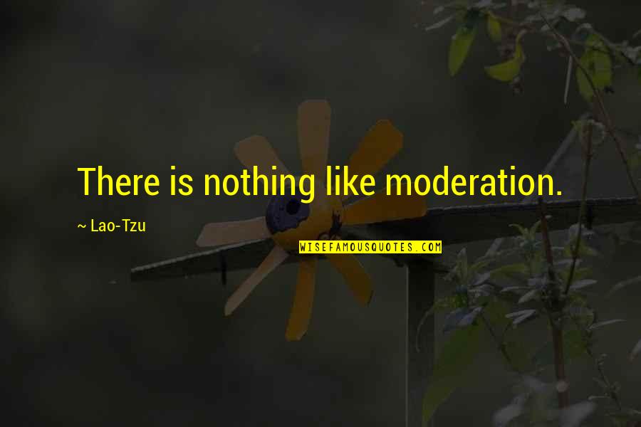Reagent Grade Quotes By Lao-Tzu: There is nothing like moderation.