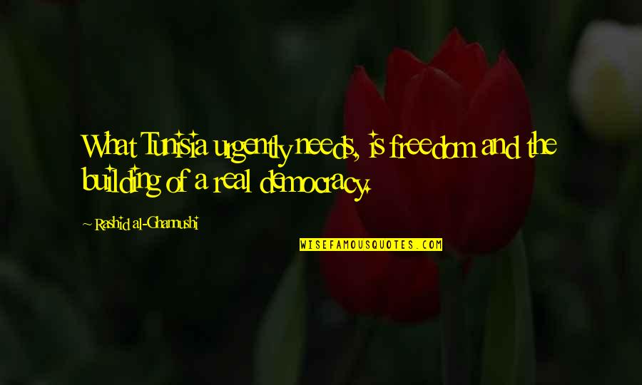 Real Freedom Quotes By Rashid Al-Ghannushi: What Tunisia urgently needs, is freedom and the