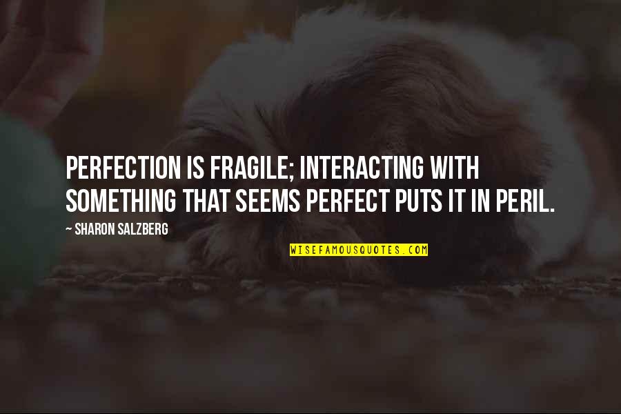 Real Happiness Is Quotes By Sharon Salzberg: Perfection is fragile; interacting with something that seems