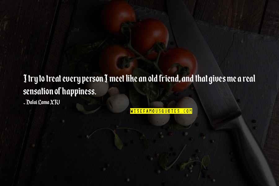 Real Happiness Quotes By Dalai Lama XIV: I try to treat every person I meet