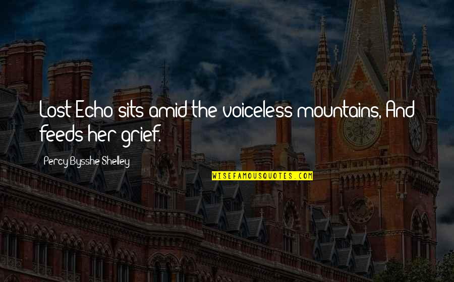 Real Housewife Quotes By Percy Bysshe Shelley: Lost Echo sits amid the voiceless mountains, And