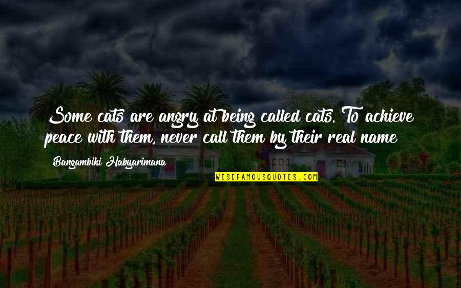 Real Life Quotes Quotes By Bangambiki Habyarimana: Some cats are angry at being called cats.
