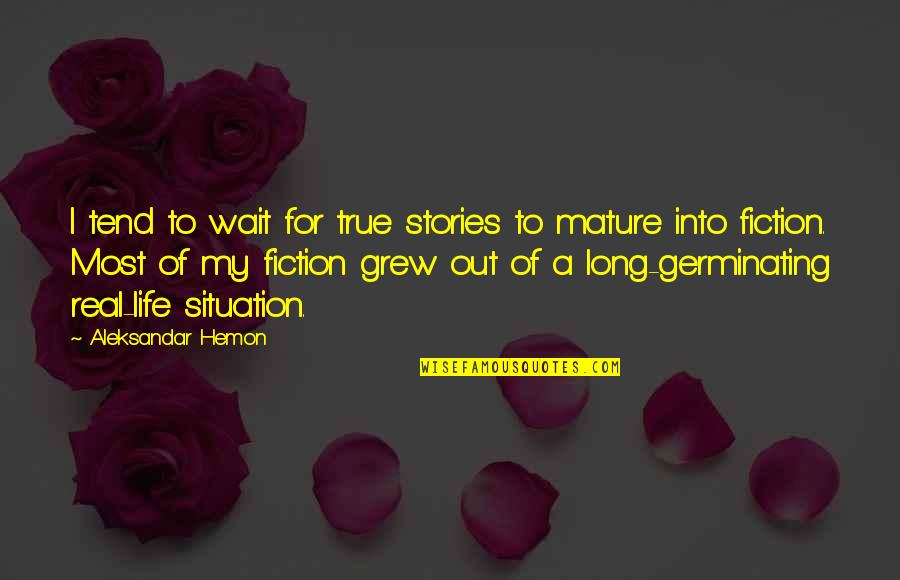 Real Life Situation Quotes By Aleksandar Hemon: I tend to wait for true stories to