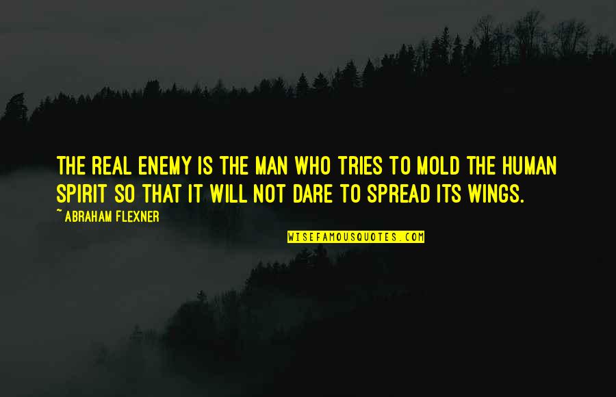 Real Man Quotes By Abraham Flexner: The real enemy is the man who tries