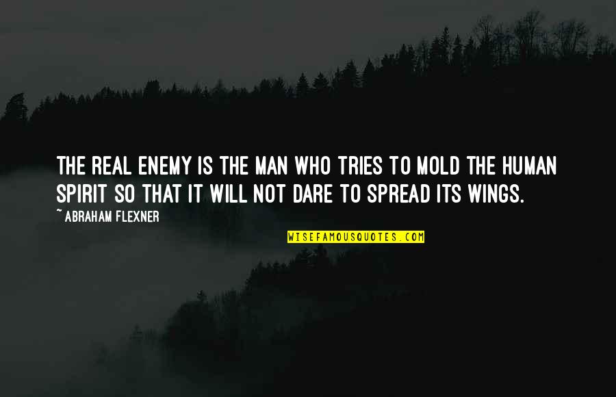 Real Men Quotes By Abraham Flexner: The real enemy is the man who tries