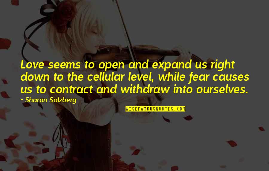 Real Quotes And Quotes By Sharon Salzberg: Love seems to open and expand us right Real Quotes And Quotes By Sharon Salzberg: Love seems to open and expand us right