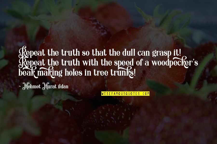 Realest Friend Quotes By Mehmet Murat Ildan: Repeat the truth so that the dull can Realest Friend Quotes By Mehmet Murat Ildan: Repeat the truth so that the dull can